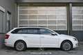Skoda Octavia 2.0 TDI DPF Ambition Green tec Pickerl NEU Weiß - thumbnail 5