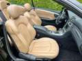 Mercedes-Benz CLK 200 Kompressor Avantgarde - thumbnail 7