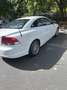 Volvo C70 C70 Cabriolet 2.0D 136 First Edition Powershift A Blanc - thumbnail 9