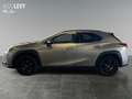 Lexus UX 250h Style+ *CARPLAY* Silber - thumbnail 3