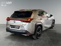 Lexus UX 250h Style+ *CARPLAY* Silber - thumbnail 6