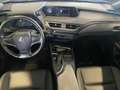 Lexus UX 250h Style+ *CARPLAY* Silber - thumbnail 11