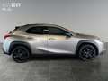 Lexus UX 250h Style+ *CARPLAY* Silber - thumbnail 7