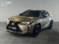 Lexus UX 250h Style+ *CARPLAY* Silber - thumbnail 2