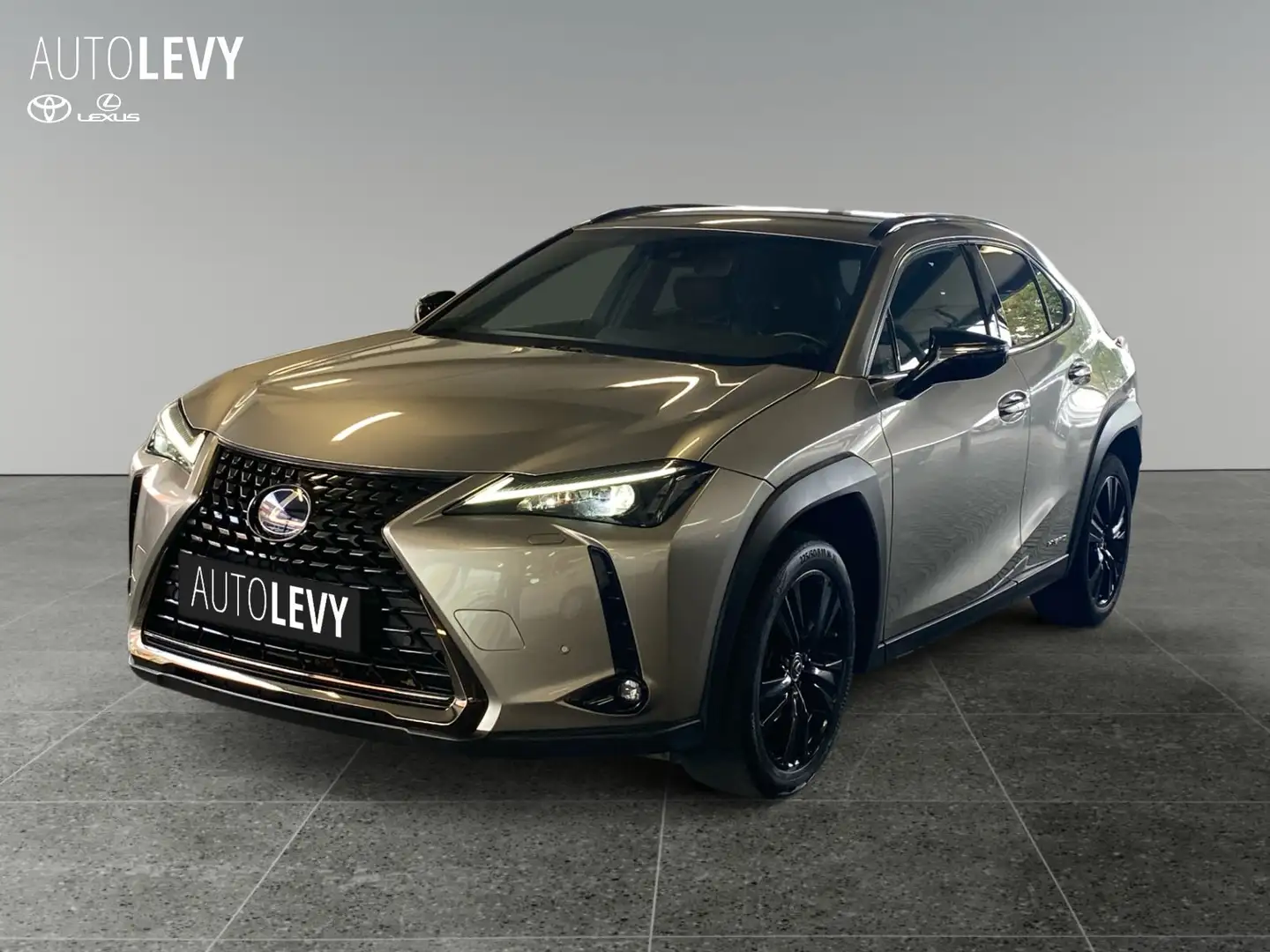 Lexus UX 250h Style+ *CARPLAY* Silber - 2