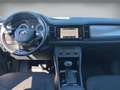Skoda Kodiaq 2.0 TDI *nur an Gewerbe* AHK LED PDC Sitzh Grau - thumbnail 10