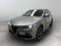 Alfa Romeo Stelvio 2.2 Turbo Lusso Grau - thumbnail 5