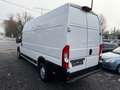 Opel Movano C L4H3 Edition+HOCH LANG+KLIMA+KAMERA+ Weiß - thumbnail 7