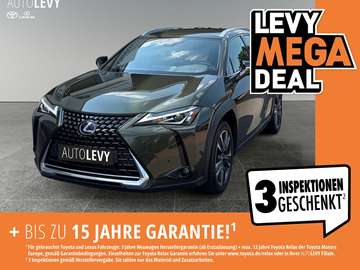 UX 250 h 250h Style Edition *SHZ*Navi*RFK*CarPlay