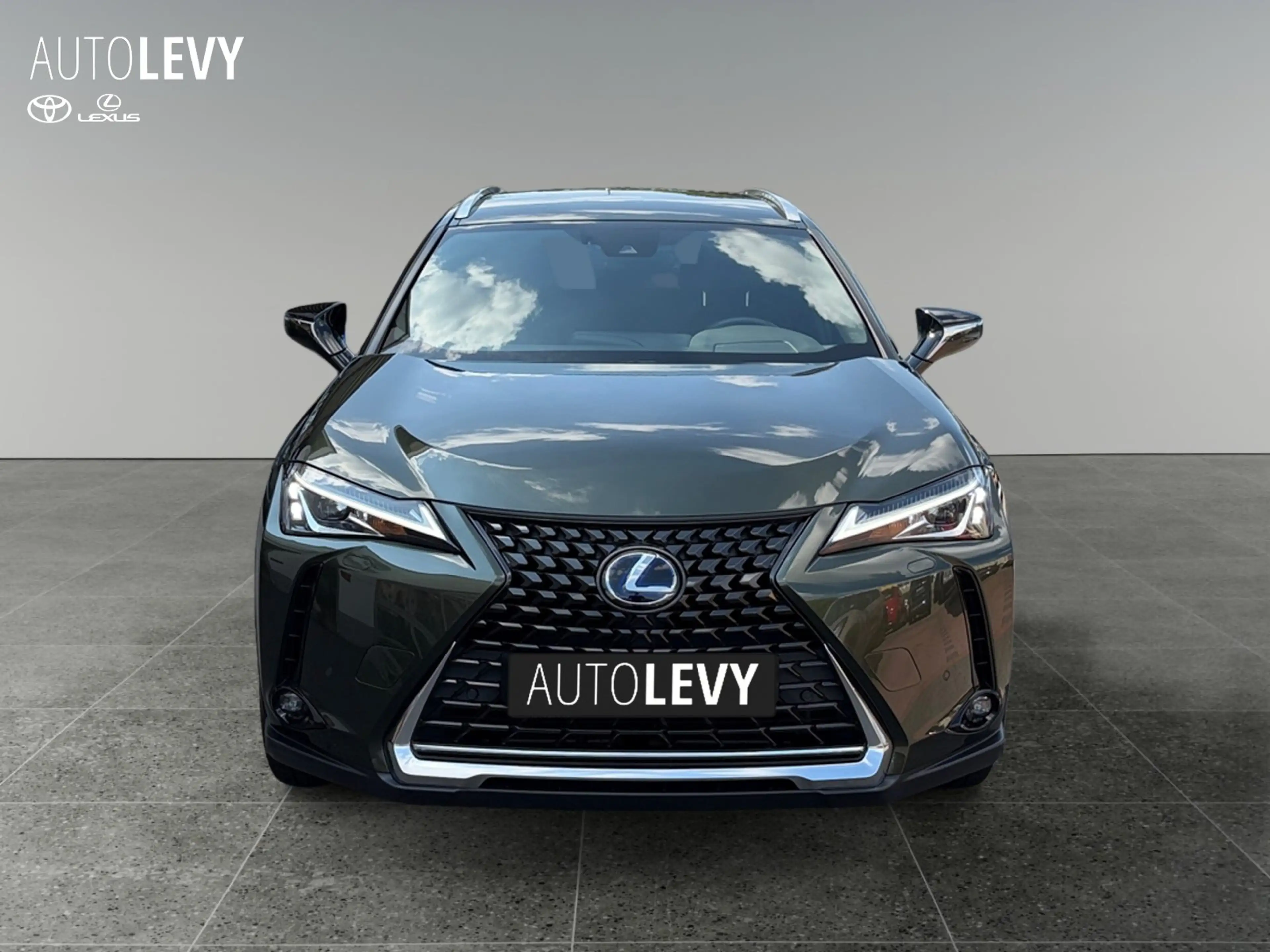 Lexus UX 250h UX 250 h 250h Style Edition *SHZ*Navi*RFK* — photo 9