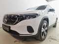 Mercedes-Benz EQA 250 + BEV Blanco - thumbnail 24