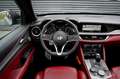 Alfa Romeo Stelvio 2.0 T AWD B-Tech / Pano / NL BTW Auto / Pieno Fior Grijs - thumbnail 8