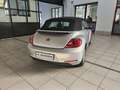 Volkswagen Maggiolino Maggiolino Cabrio 1.6 tdi Design Silber - thumbnail 4