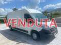 Fiat Ducato MAXI Blanc - thumbnail 1