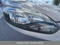 Ford Focus Champions Edition ATM bei 103.779 Km-Stand Silber - thumbnail 19