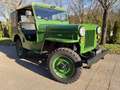 Jeep Willys CJ3B Restauriert ***Diesel*** Verde - thumbnail 3