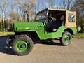 Jeep Willys CJ3B Restauriert ***Diesel*** Verde - thumbnail 2