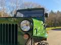 Jeep Willys CJ3B Restauriert ***Diesel*** Verde - thumbnail 19