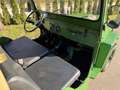 Jeep Willys CJ3B Restauriert ***Diesel*** Verde - thumbnail 9