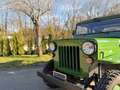 Jeep Willys CJ3B Restauriert ***Diesel*** Verde - thumbnail 11