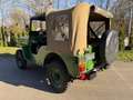 Jeep Willys CJ3B Restauriert ***Diesel*** Verde - thumbnail 4