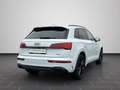 Audi Q5 S line 40 TDI quattro S tronic NAVI MATRIX Weiß - thumbnail 2