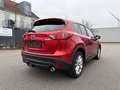 Mazda CX-5 Sports-Line AWD Rot - thumbnail 6
