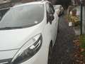 Renault Grand Scenic Scénic dCi 130 Energy FAP eco2 Bose Edition 5 pl Wit - thumbnail 1
