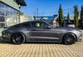 Ford Mustang 5.0 Ti-VCT V8 Fastback GT LPG Gasanlage Grau - thumbnail 7