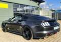 Ford Mustang 5.0 Ti-VCT V8 Fastback GT LPG Gasanlage Grau - thumbnail 6