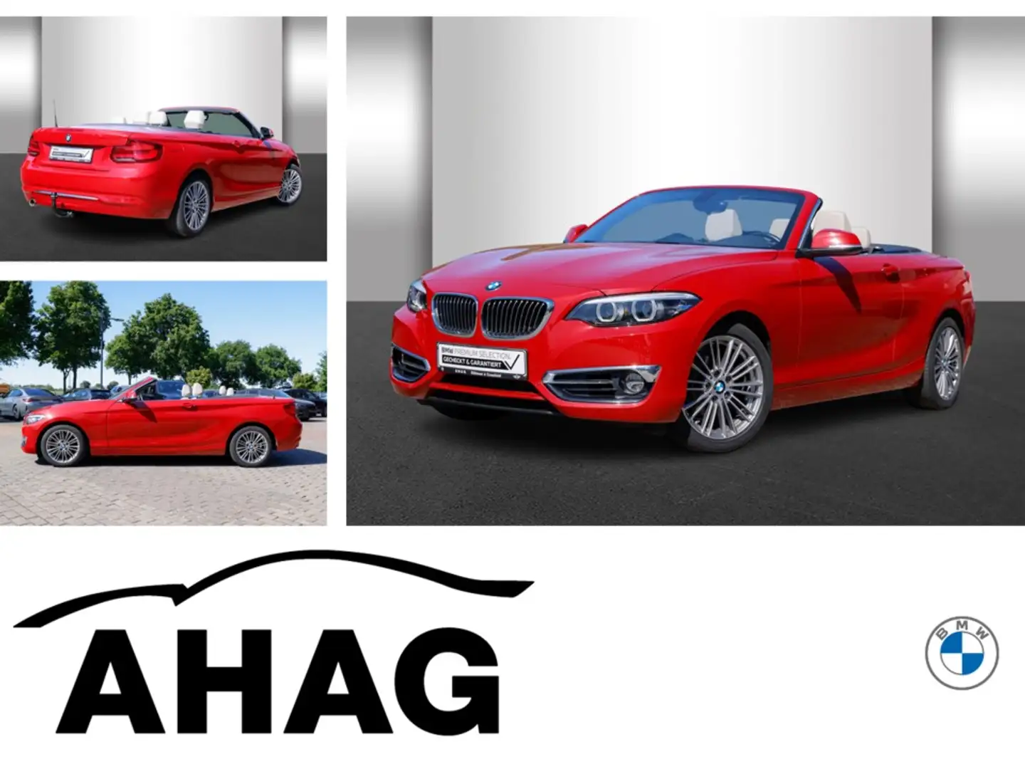 BMW 218 i Cabrio Luxury Line Aut. Navi Business PDC Rojo - 1