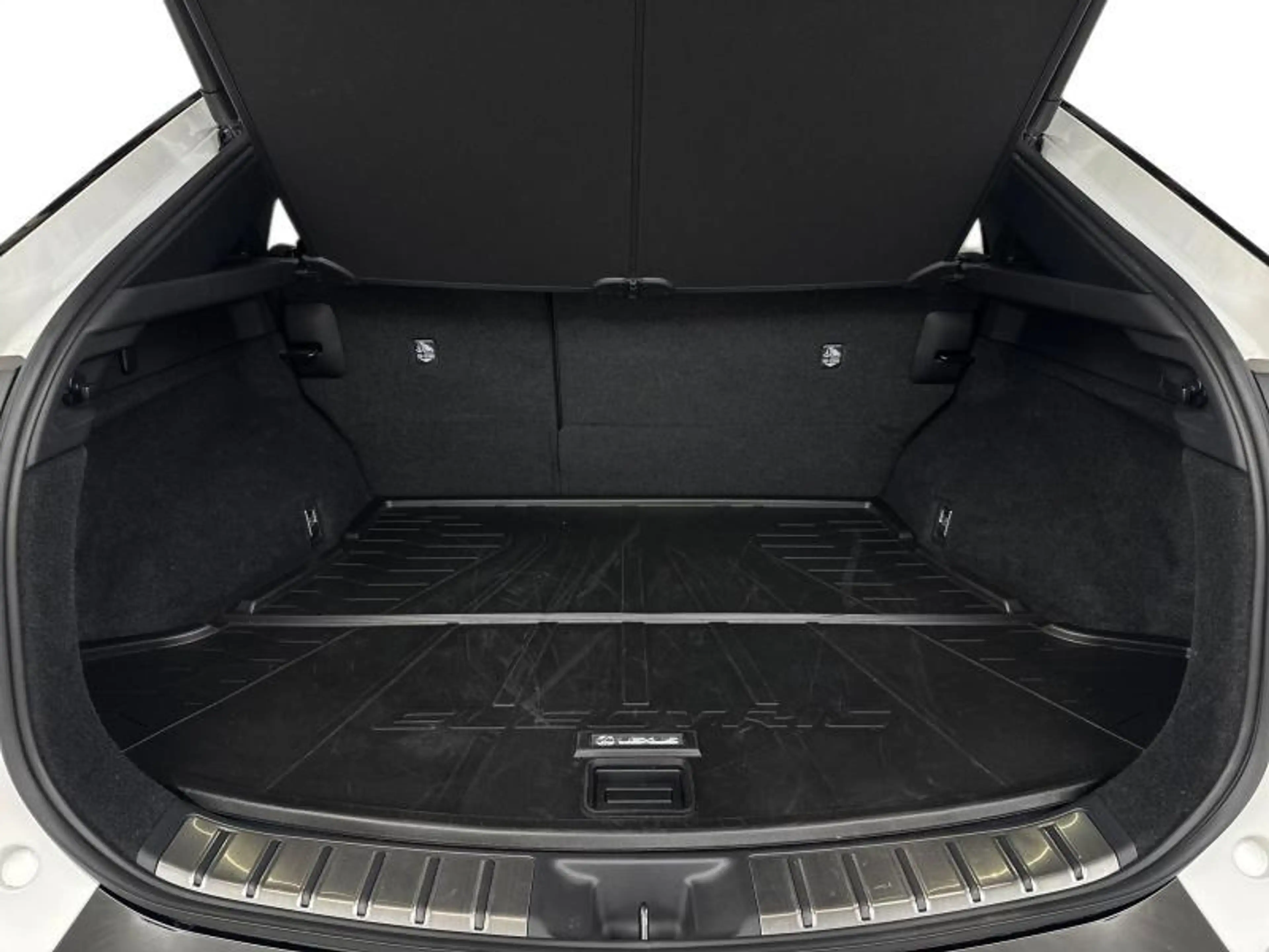 Lexus RZ Privilege Line AWD — photo 11
