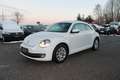 Volkswagen Beetle 1.2 TSI KLIMA PDC TÜV & SERVICE NEU Weiß - thumbnail 1