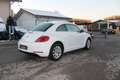 Volkswagen Beetle 1.2 TSI KLIMA PDC TÜV & SERVICE NEU Weiß - thumbnail 4