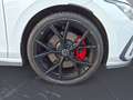 Volkswagen Golf GTI Golf 2.0 TSI OPF DSG GTI Kamera Weiß - thumbnail 12