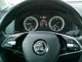 Skoda Karoq Karoq 2,0 TDI SCR 4x4 Style SC DSG Style SC Grau - thumbnail 13