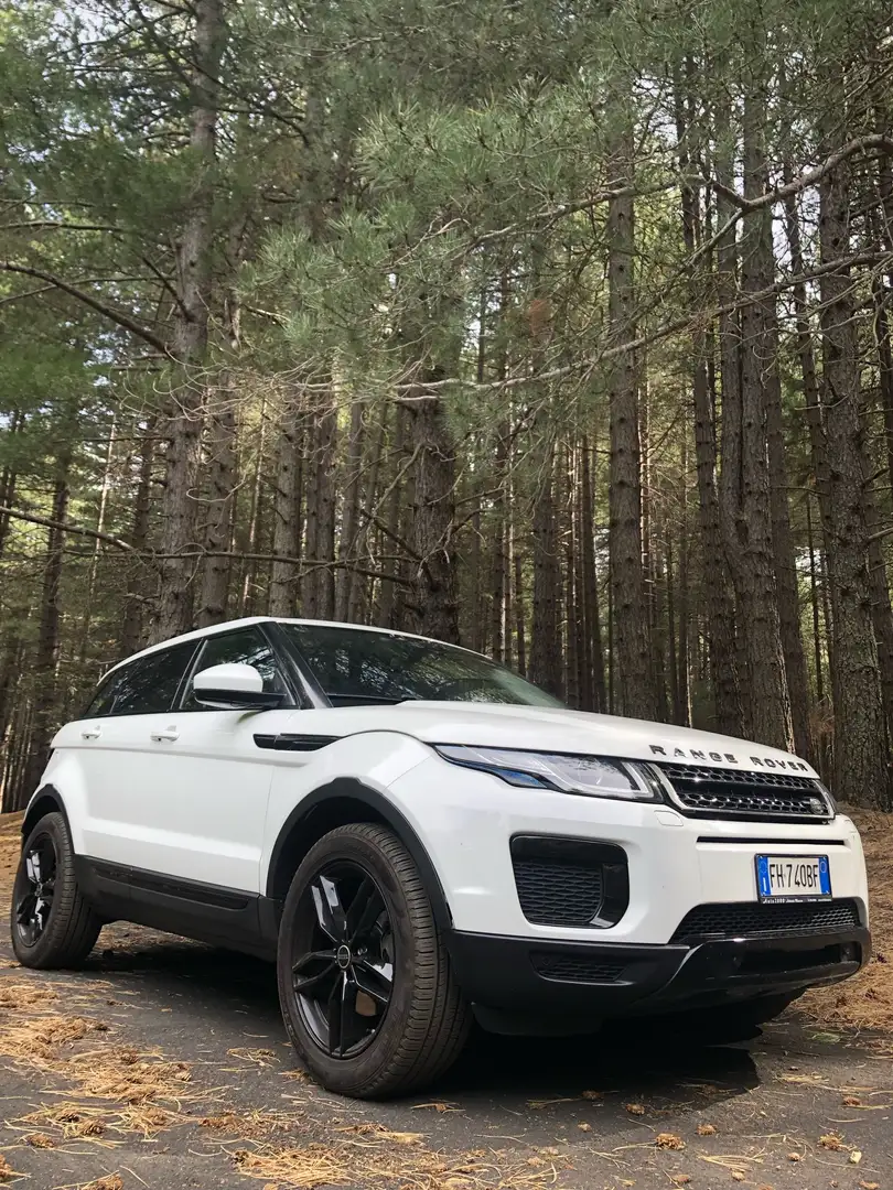 Land Rover Range Rover Evoque 5p 2.0 td4 Pure 150cv Bianco - 1