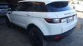 Land Rover Range Rover Evoque 5p 2.0 td4 Pure 150cv Bianco - thumbnail 2