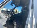 Ford Transit Koffer V363 L2 Ladeboardwand Blanc - thumbnail 10
