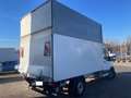 Ford Transit Koffer V363 L2 Ladeboardwand Wit - thumbnail 6