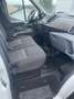 Ford Transit Koffer V363 L2 Ladeboardwand Weiß - thumbnail 7