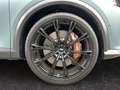 CUPRA Formentor VZ5 2.5 TSI 4Drive DSG *Mattlack*360°* Grau - thumbnail 22