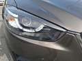 Mazda CX-5 2.2 SKYACTIV-D Hannes Arch DynLicht Kam. LM Braun - thumbnail 4