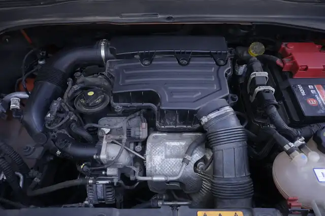 Jeep Renegade view 19