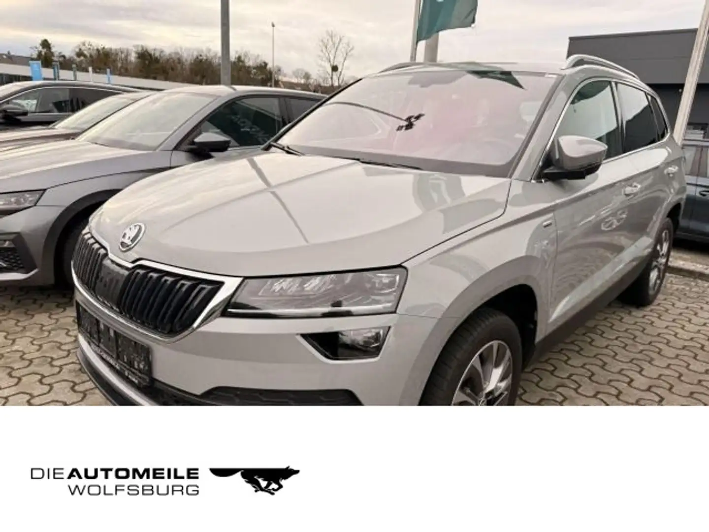 Skoda Karoq 1.5 TSI Clever Tempo/Einparkhi/Multilenk Grau - 1