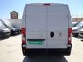 Fiat Ducato Fg. 35 3.0 Natural Power L2 H2 Blanco - thumbnail 16
