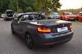 BMW 218 Baureihe 2 Cabrio 218 i Sport Line Grau - thumbnail 4