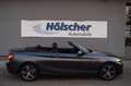 BMW 218 Baureihe 2 Cabrio 218 i Sport Line Grau - thumbnail 5