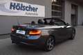 BMW 218 Baureihe 2 Cabrio 218 i Sport Line Grau - thumbnail 2