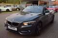 BMW 218 Baureihe 2 Cabrio 218 i Sport Line Grau - thumbnail 3